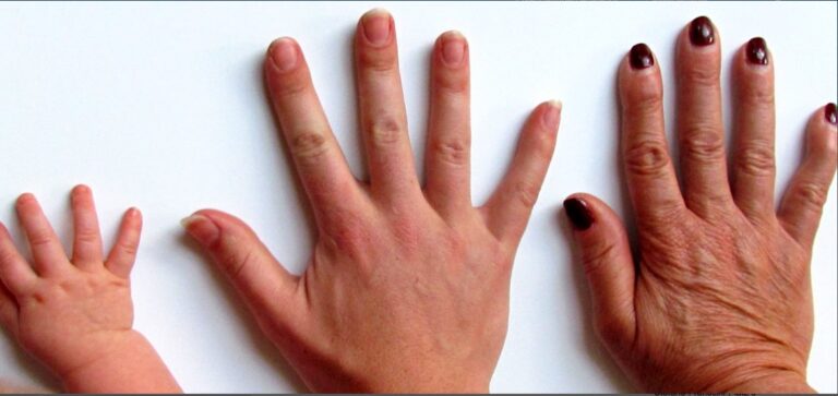 Generazioni (CC0 1.0 by hannahpirnie via pixabay.com)