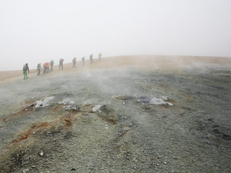 NL25: Mapping Everything