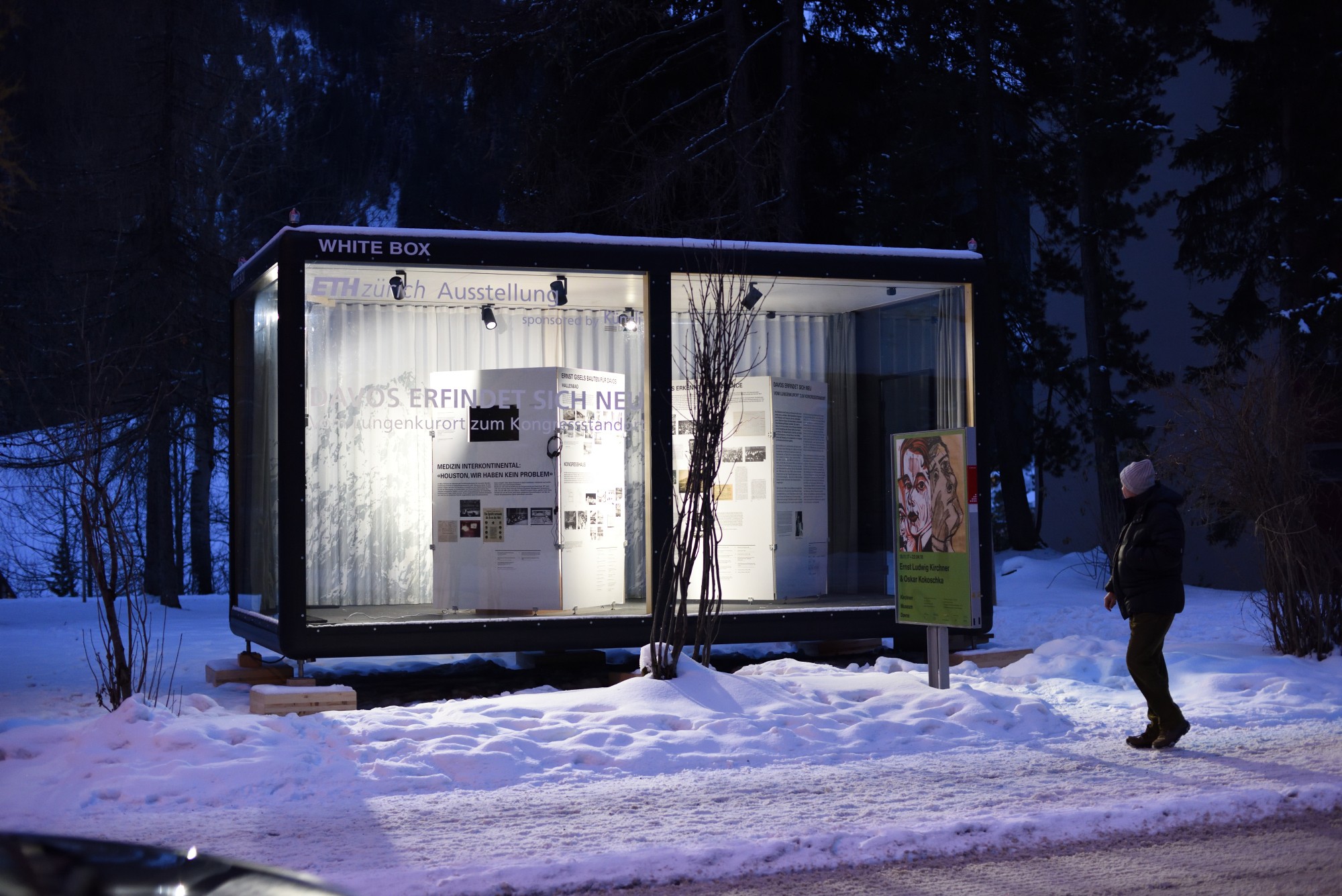 Whitebox Davos