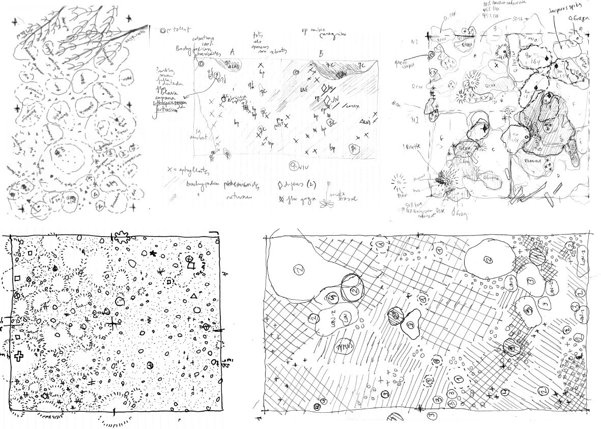 Compiled field notes from site vegetation inventory of forest plots © Chair of Being Alive, ETH Zurich