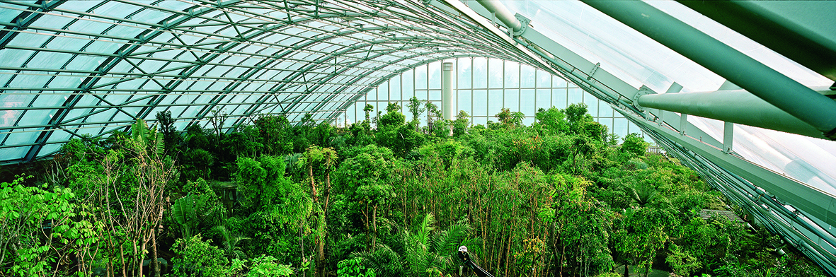 Die Masoala-Halle im Zoo Zürich (Bild: Christian Vogt)